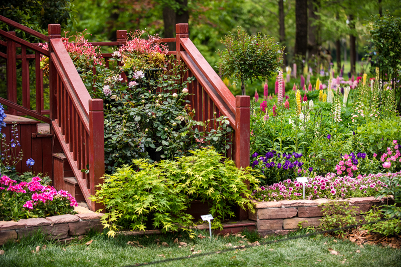 u:信息报送园艺科2020年5月共同战疫,云赏花展│新优植物之花园