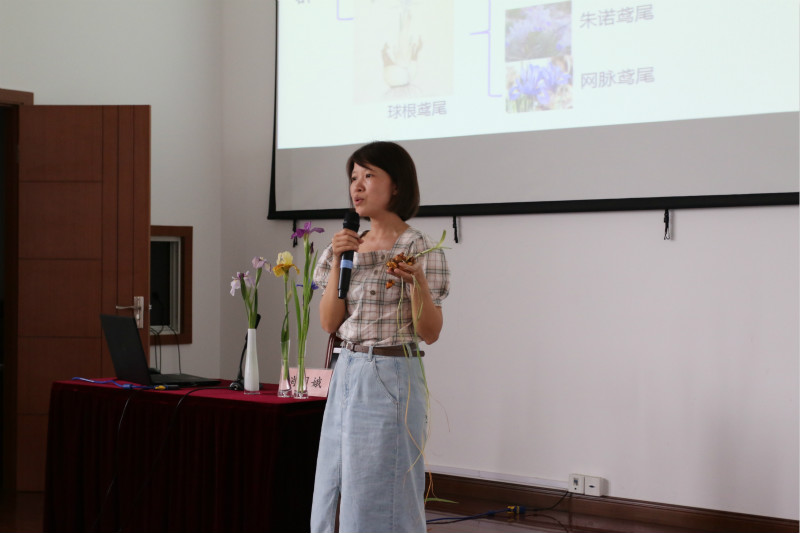 植物园科研中心副主任,高级工程师肖月娥博士围绕鸢尾种质资源的概况