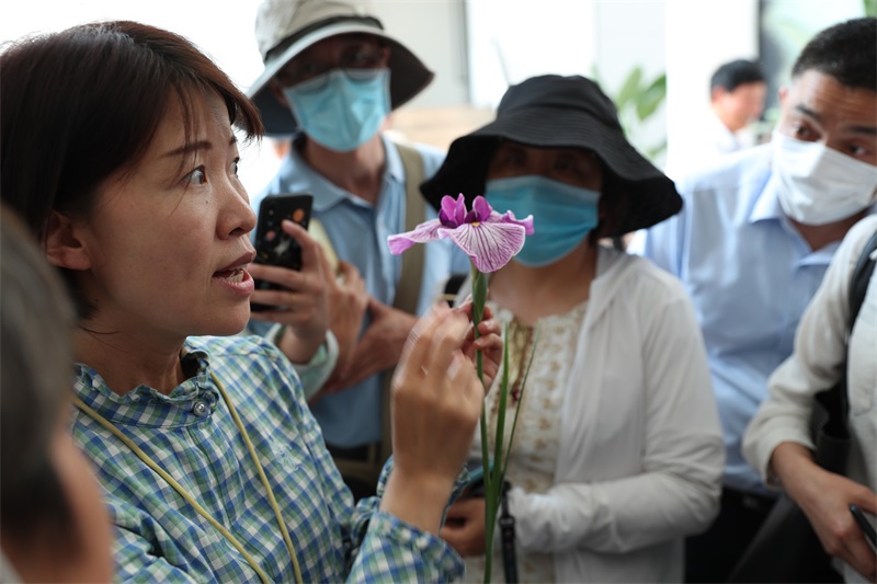 肖月娥博士首先从花菖蒲的文化渊源讲起,普及了菖蒲与花菖蒲的渊源这