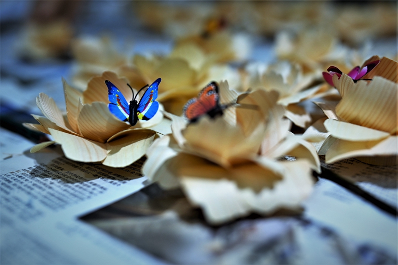 U:\信息报送\园艺科\2020年\10月\环保梦手工花朵教程\800\08 不上色的木片花也很好看哟.jpg