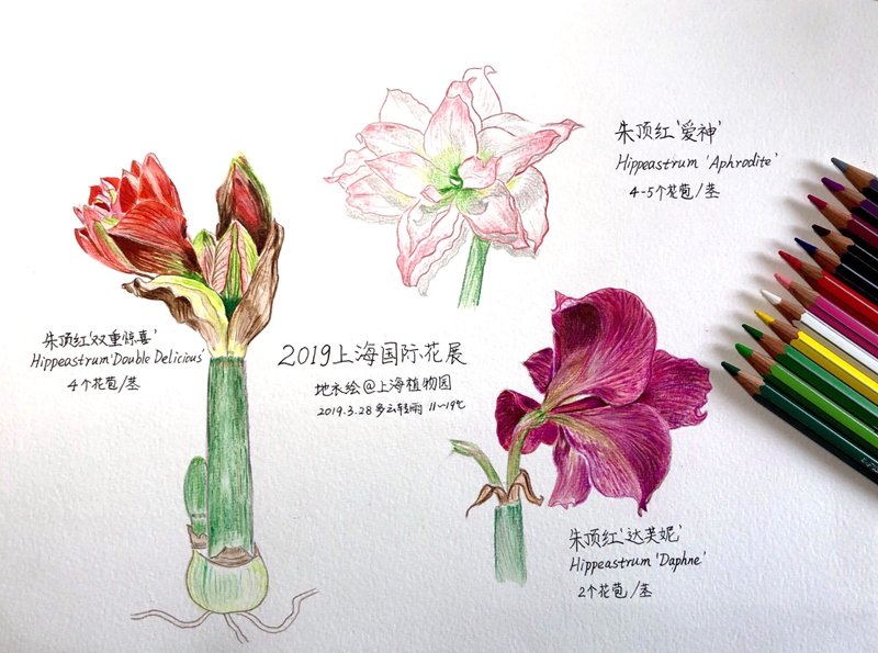 活动预告丨上海植物园3月科普活动早知道