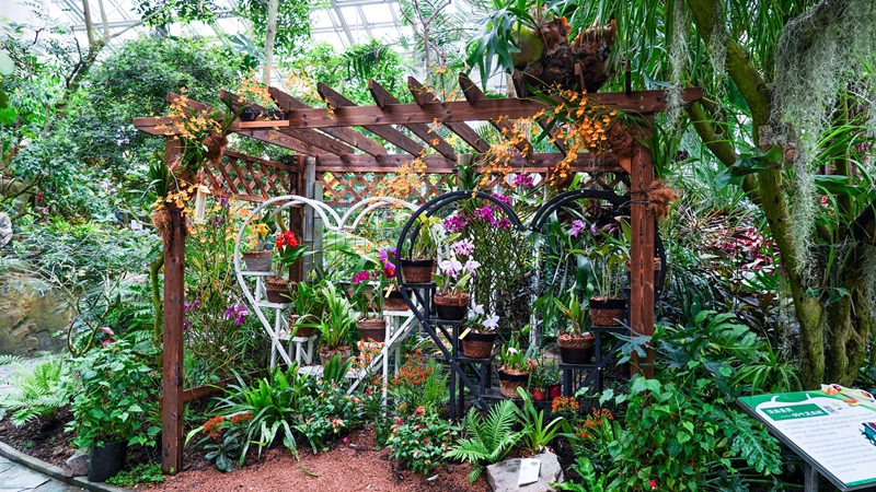 U:\信息报送\温室管理中心\2021年\4月\微信\有趣的温室\800\DSC09301.jpg U:\信息报送\温室管理中心\2021年\4月\微信\有趣的温室\800\DSC09301.jpg