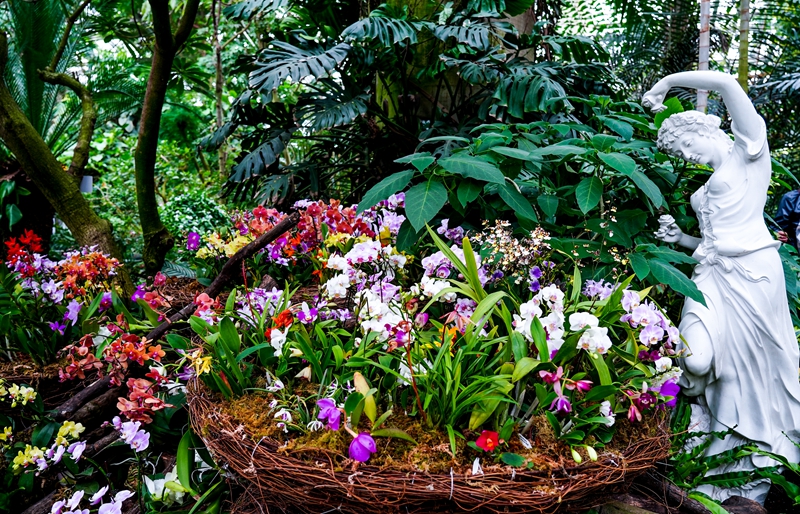 U:\信息报送\温室管理中心\2021年\4月\微信\有趣的温室\800\DSC09305.jpg U:\信息报送\温室管理中心\2021年\4月\微信\有趣的温室\800\DSC09305.jpg