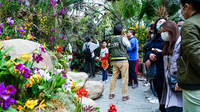 U:\信息报送\温室管理中心\2021年\4月\微信\有趣的温室\800\DSC09310.jpg U:\信息报送\温室管理中心\2021年\4月\微信\有趣的温室\800\DSC09310.jpg