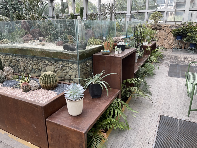 上海植物园