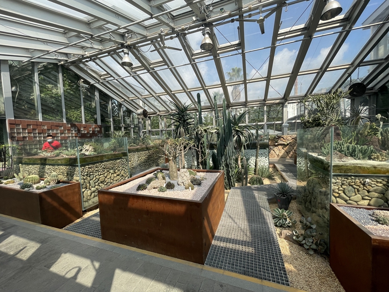 上海植物园