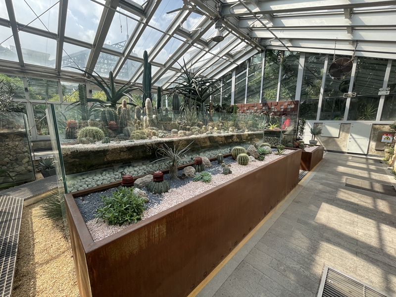 上海植物园
