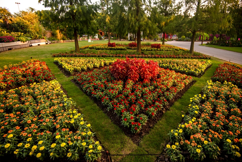 u:信息报送园艺科2021年10月花园梦800模纹花坛 (2).jpg