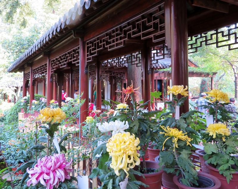 上海植物园 上海植物园