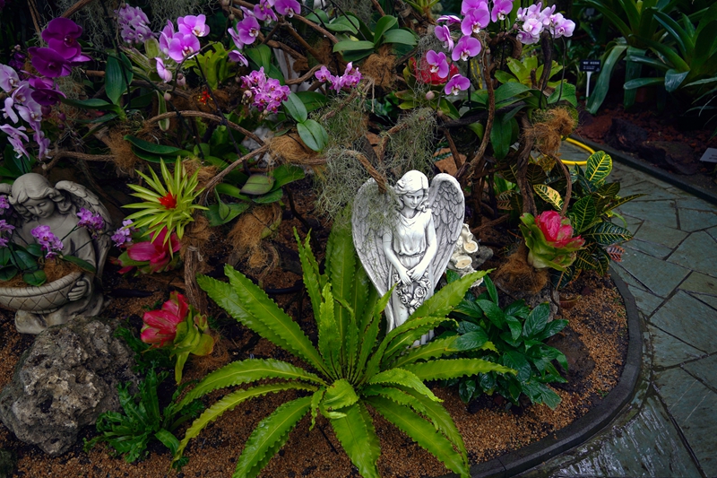 上海植物园 上海植物园