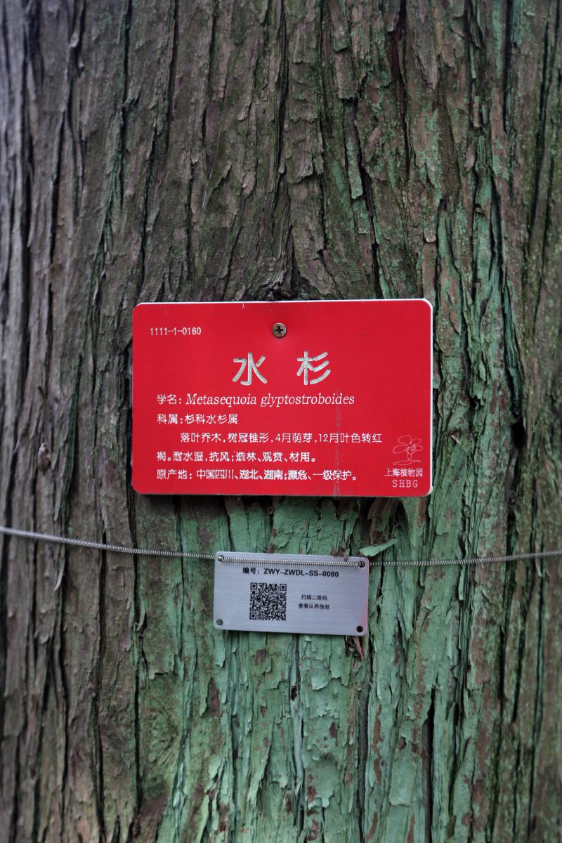 活动开始,由纪委书记唐海康同志宣布2022年树木认养的区域,并示范挂牌