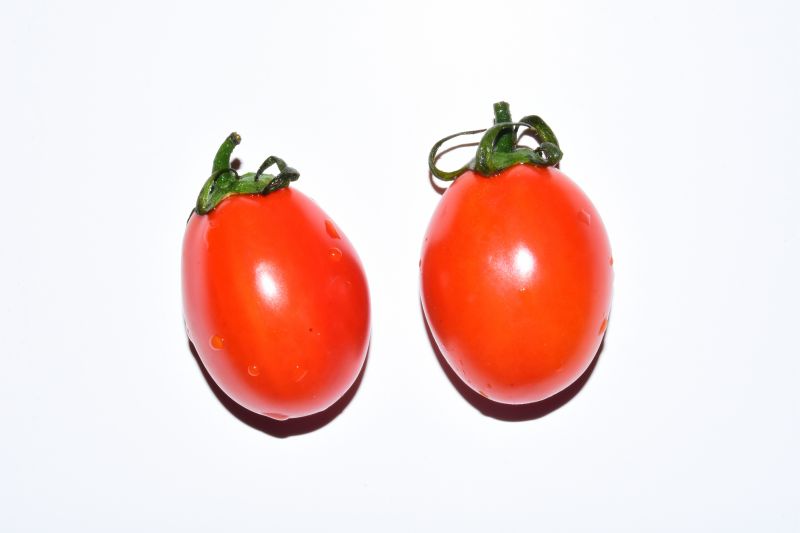 图12 樱桃番茄（圣女果） 图源：刘昂.jpg