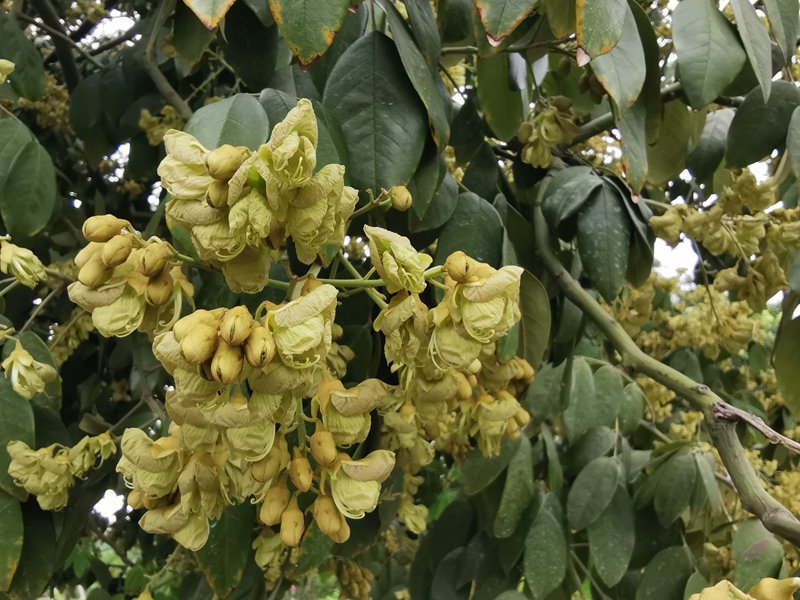 IMG_20220707_091107.jpg IMG_20220707_091107.jpg