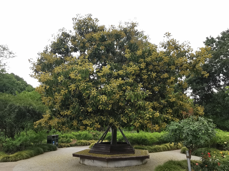 IMG_20220707_091143.jpg IMG_20220707_091143.jpg