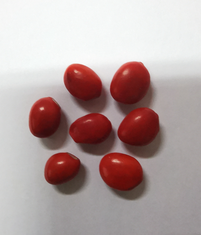 IMG_20220707_154407_edit_114522331213253.jpg IMG_20220707_154407_edit_114522331213253.jpg