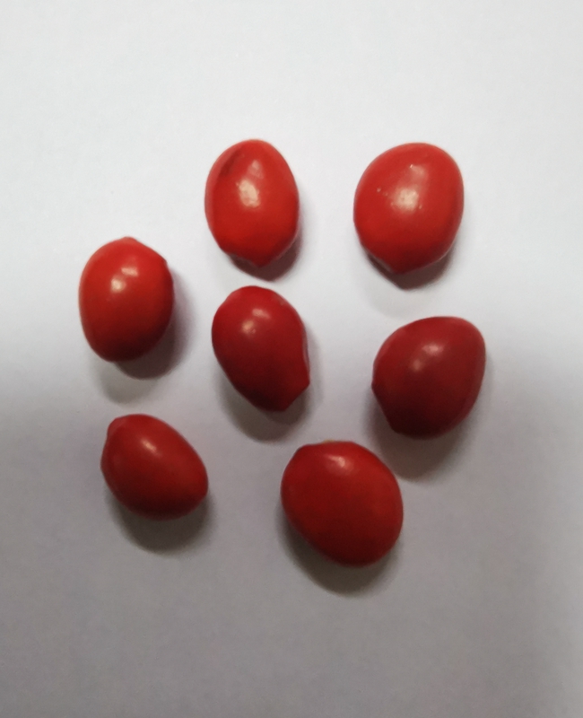 IMG_20220707_154531_edit_113582701221209.jpg IMG_20220707_154531_edit_113582701221209.jpg