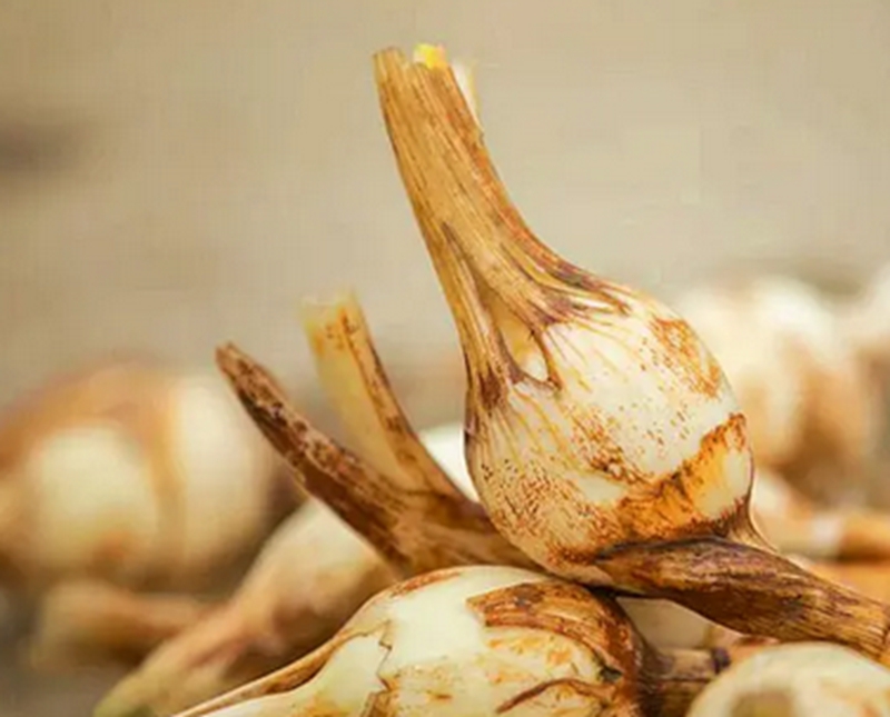 茨菇1.jpg 茨菇1.jpg