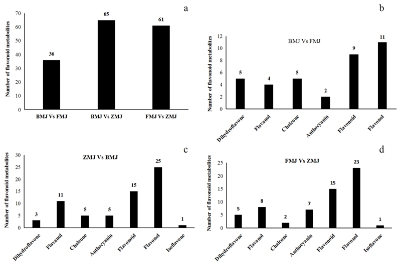 图2 锦绣杜鹃不同花色的黄酮类差异代谢物.jpg