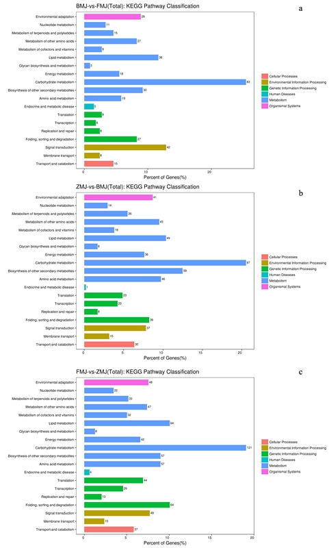 图3 锦绣杜鹃3个比较组的KEGG分析.jpg