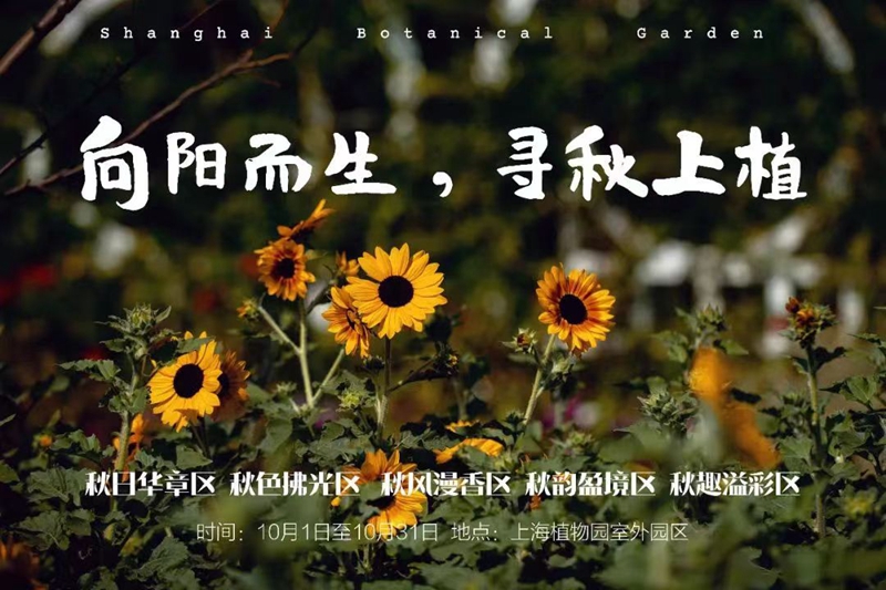 上海植物园