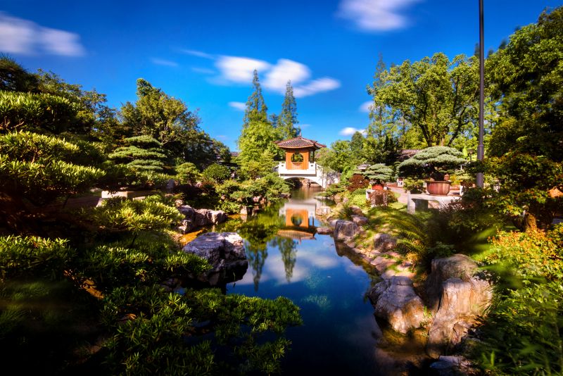 盆景1.jpg
