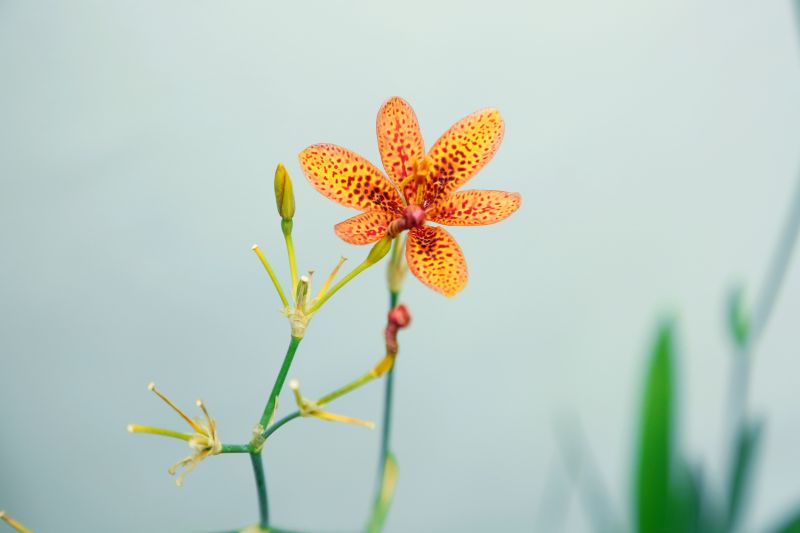 8C9A8931.jpg