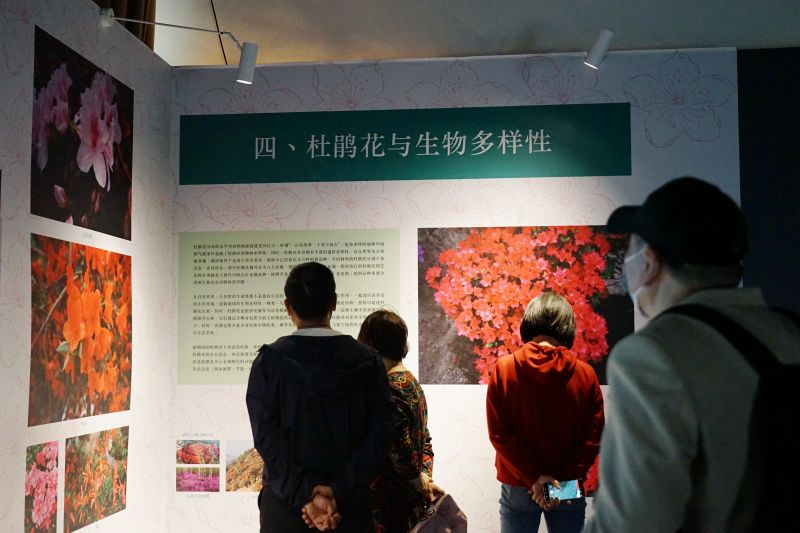 DSC02251_副本.jpg DSC02251_副本.jpg