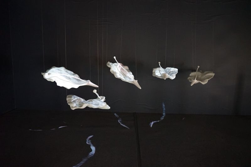 DSC02247_副本.jpg DSC02247_副本.jpg