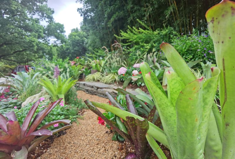 IMG_20230728_161702.jpg IMG_20230728_161702.jpg