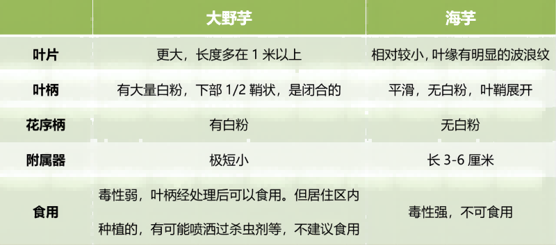 640(1).png 640(1).png