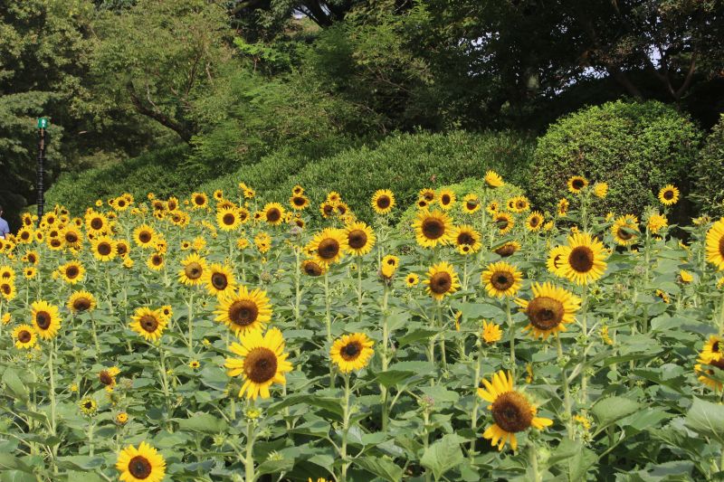 IMG_6869.jpg IMG_6869.jpg