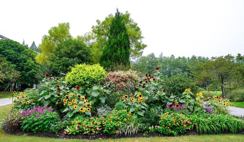 DSC02196.jpg DSC02196.jpg