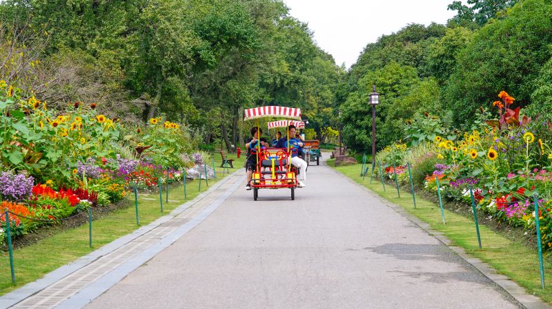 向日葵在对称花境中的应用4.jpg 向日葵在对称花境中的应用4.jpg