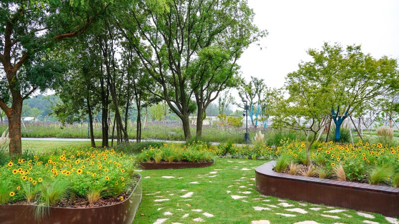 DSC02114.jpg DSC02114.jpg