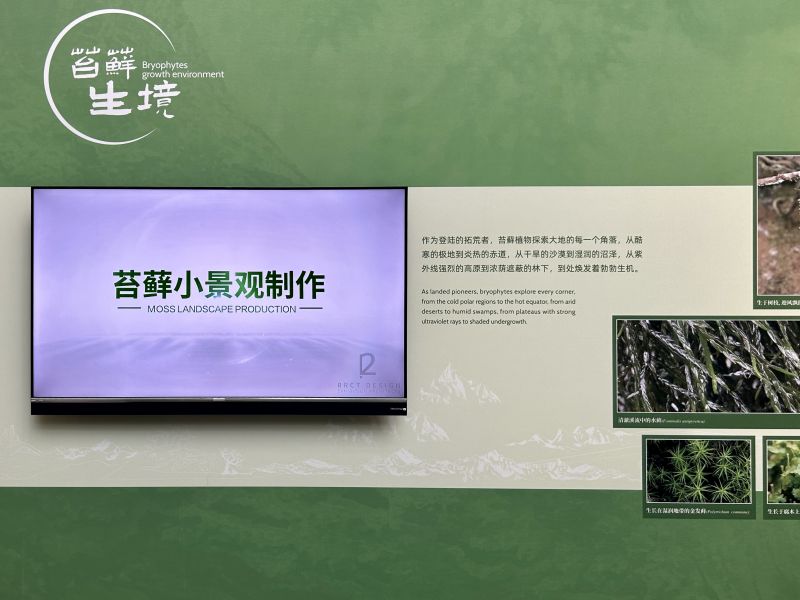 现场照片1.jpg 现场照片1.jpg