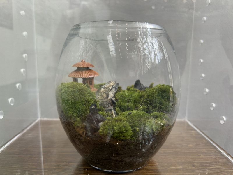 唐剑峰作品3.jpg