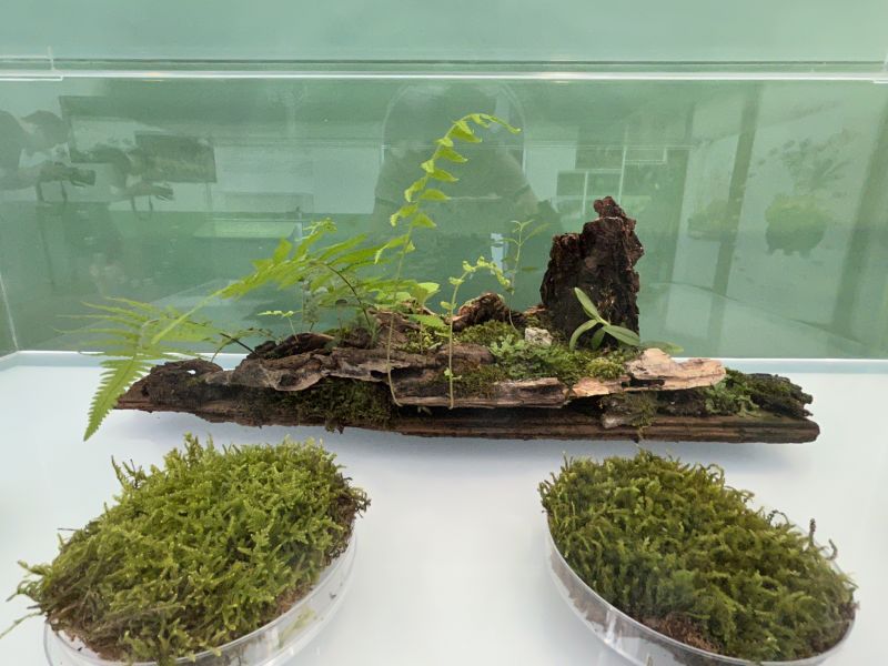 唐剑峰作品2.jpg