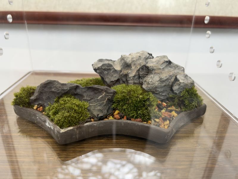 唐剑峰作品5.jpg
