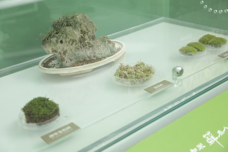 唐剑峰作品6.jpg