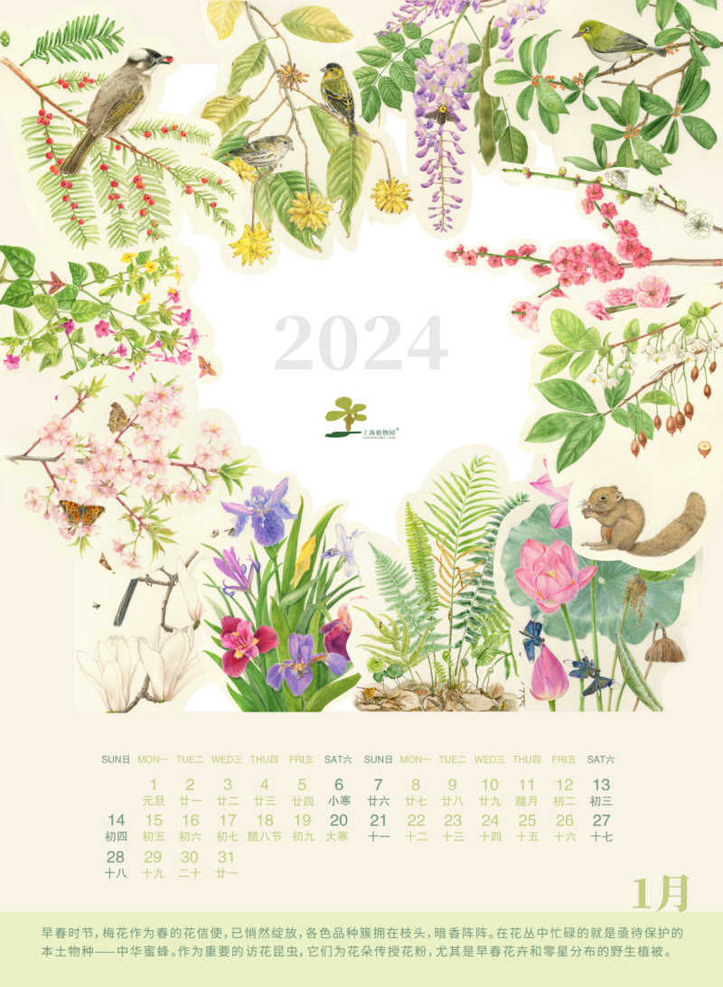 20231109 上海植物园台历_12.png
