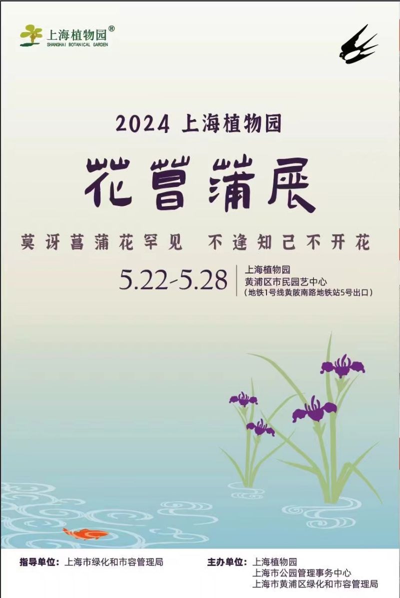 2024上海植物园花菖蒲展明日开幕