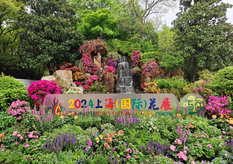 一路芳华.jpg 一路芳华.jpg