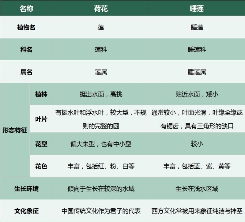 荷花与睡莲.jpg 荷花与睡莲.jpg
