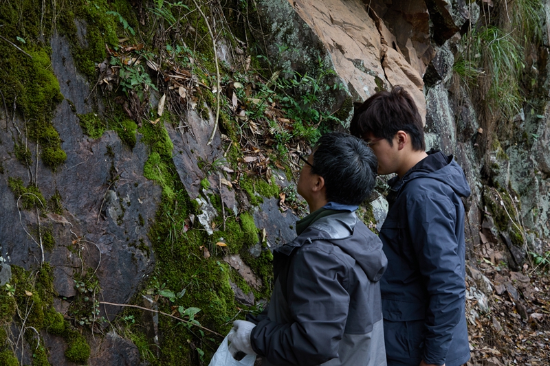 A11A2491.jpg A11A2491.jpg