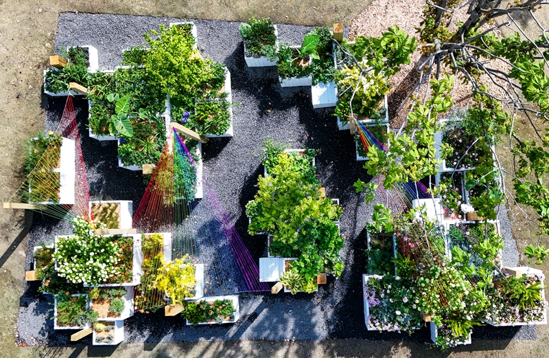 DJI_20250416090641_0166_D.jpg DJI_20250416090641_0166_D.jpg