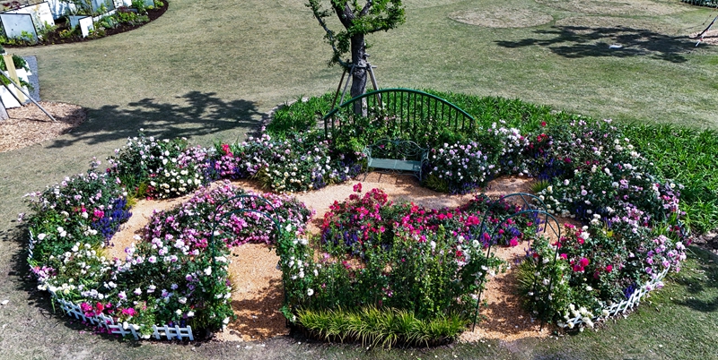 DJI_20250416090347_0157_D.jpg DJI_20250416090347_0157_D.jpg