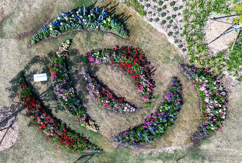 DJI_20250416083848_0081_D.jpg DJI_20250416083848_0081_D.jpg