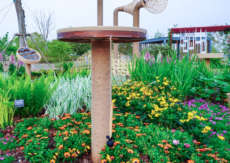 选12 黄橙.jpg 选12 黄橙.jpg