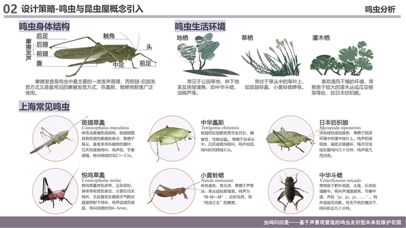 选4 上海常见鸣虫.jpg