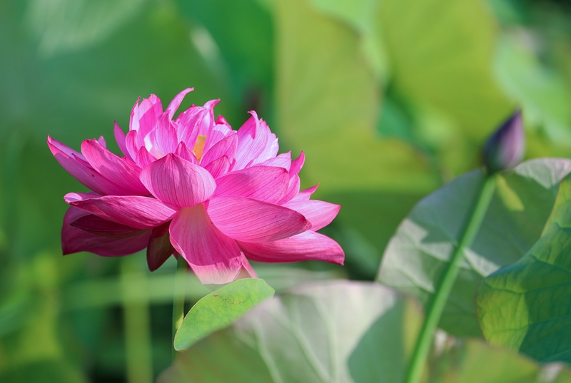 BG8I7141.jpg BG8I7141.jpg